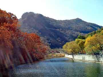 管家婆黑白马报图库，油纸伞价格